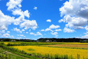 田園｜新茂原ホーム
